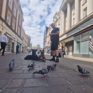 Prey Chasing Recall 6 Week Course (ecollar)